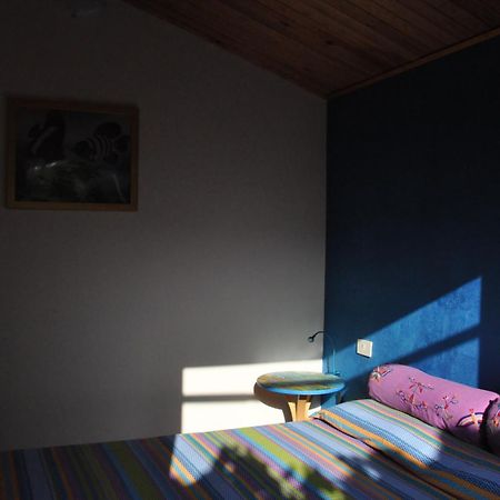 La Vite Sul Tetto Villa Agugliano Exteriör bild