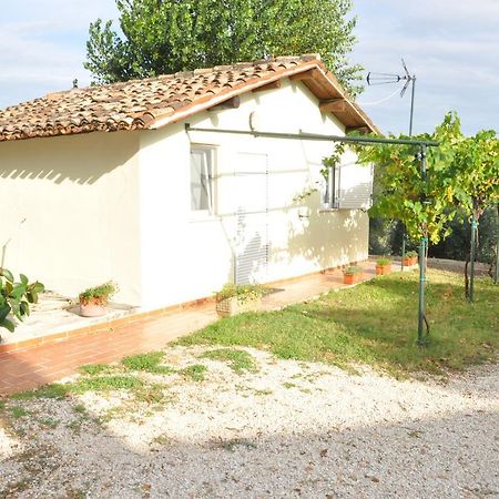 La Vite Sul Tetto Villa Agugliano Exteriör bild