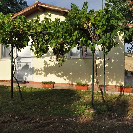 La Vite Sul Tetto Villa Agugliano Exteriör bild