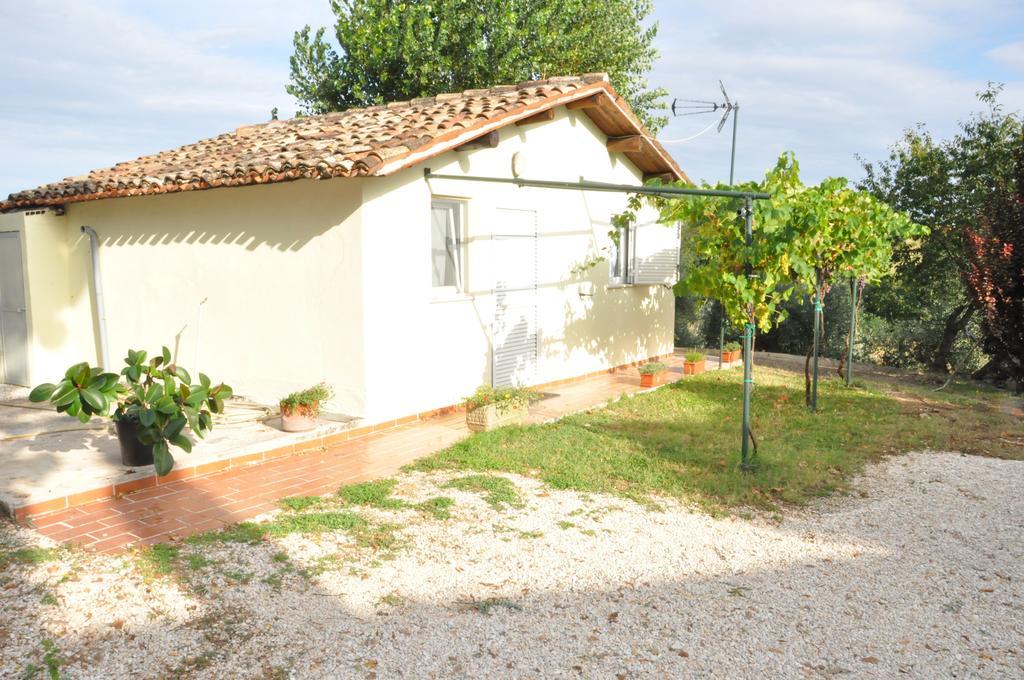 La Vite Sul Tetto Villa Agugliano Exteriör bild