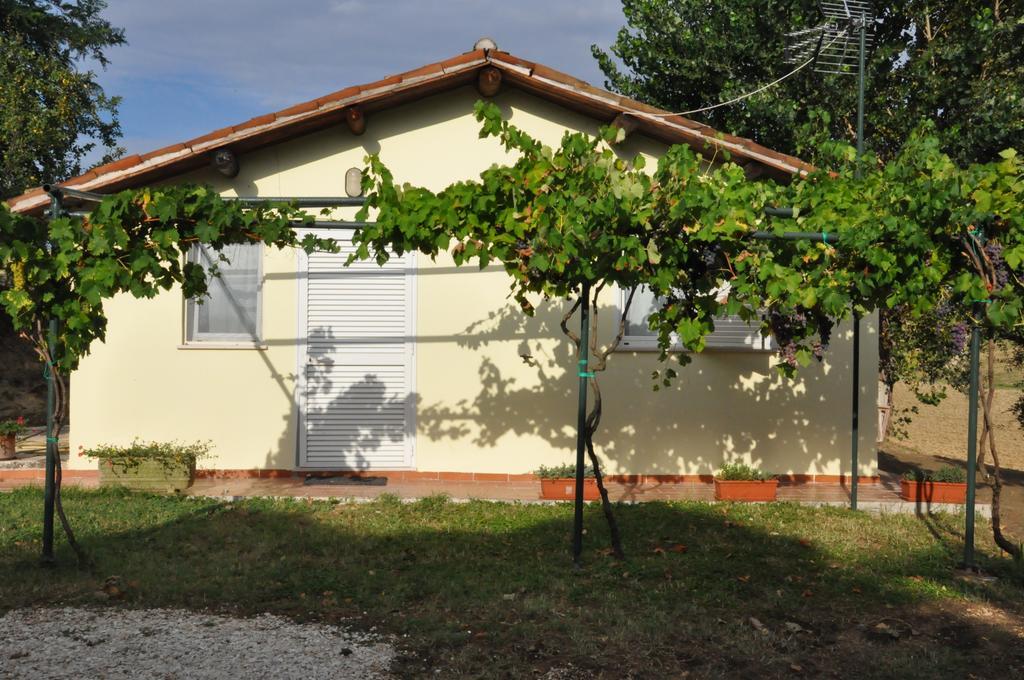 La Vite Sul Tetto Villa Agugliano Exteriör bild