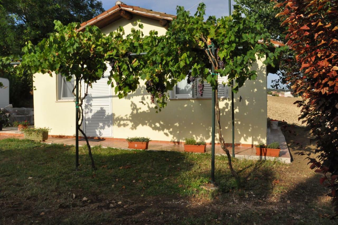 La Vite Sul Tetto Villa Agugliano Exteriör bild